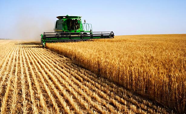 AGRICULTURE CAN SOLVE OUR REVENUE PROBLEM – OSINBAJO