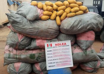NDLEA Intercepts Cocaine in Children Duvets, Drugged Milo Beverage