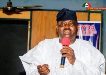 How Insecurity is Halting Flow of Investment from Mexico to Nigeria – Bello