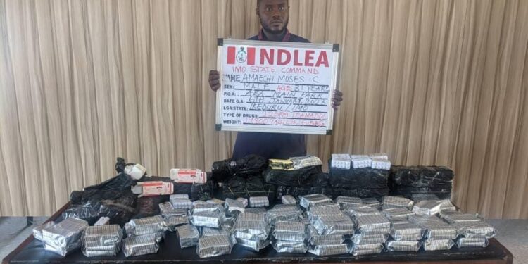 NDLEA Intercepts Drug Consignments in Wooden Statue, Arrests 11 Suspects