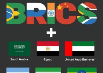Opinion: Building BRICS, Brick by Bricks