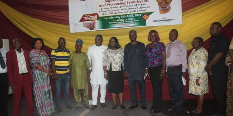 Oyo Trains Farmers On Improved Techniques of Cultivation