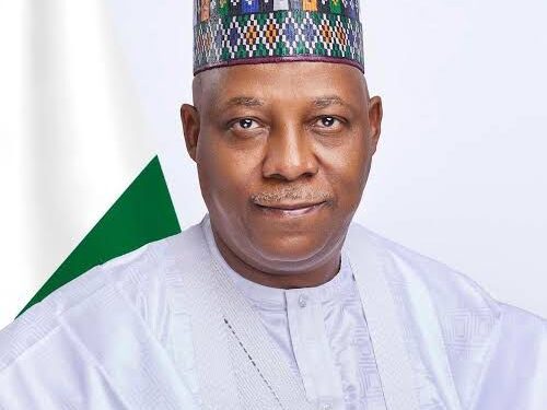 Shettima To Represent President Tinubu At CHOGM 2024