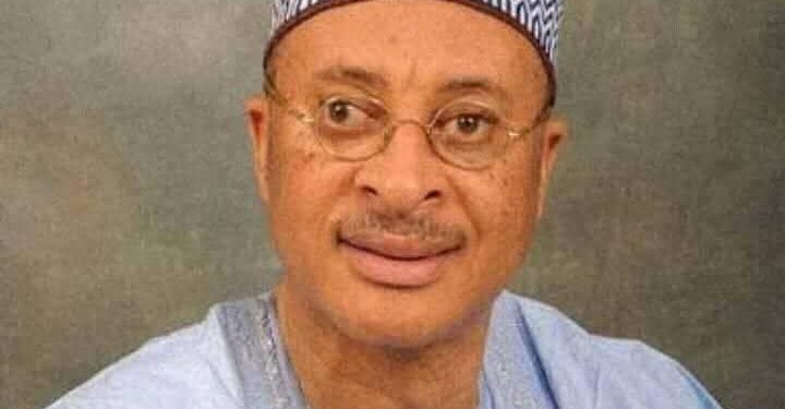 Viewpoint: Much Ado About Utomi’s Shadow Government, By Bolanle BOLAWOLE