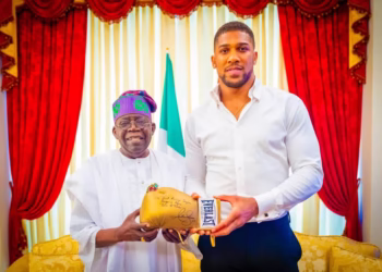 Tinubu, in Telephone Conversation with AJ, the Mother, After Tragic Accident