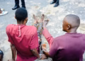 POLICE  ARREST TWO SUSPECTED KIDNAPPERS, RESCUES FIVE-YEAR-OLD GIRL UNHURT