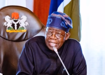 2027: Yoruba Leader Urges Tinubu to Pick Hausa/Fulani Running Mate, Zone Senate Presidency to South-East