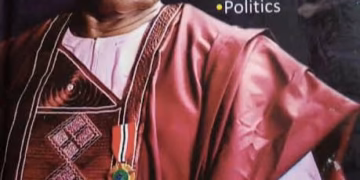 VIEWPOINT: GOOD NIGHT PROFESSOR SOBOWALE BY FUNMI FALOBI